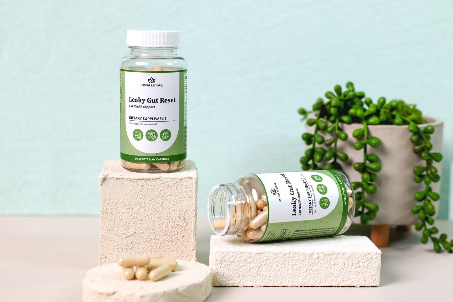 Nature Restore Gut Support Capsules 1 Capsule