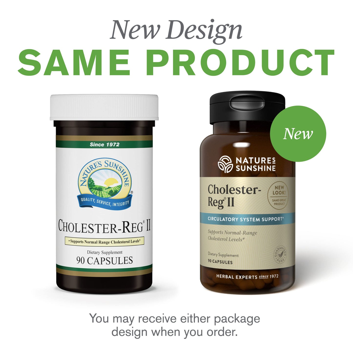 Nature's Sunshine Cholester-Reg II Capsules, 90 Count