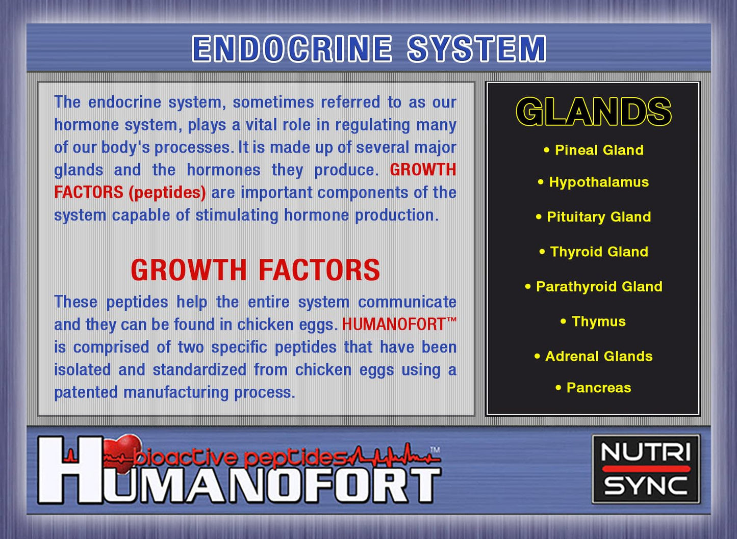 Nutri-Sync HUMANOFORT 200MG Per Capsule, 60 Capsules