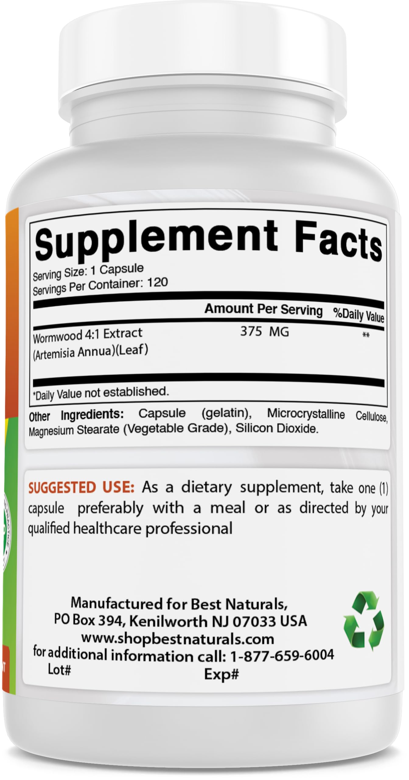 Best Naturals Wormwood 4:1 Extract (375 mg) 120 Capsules