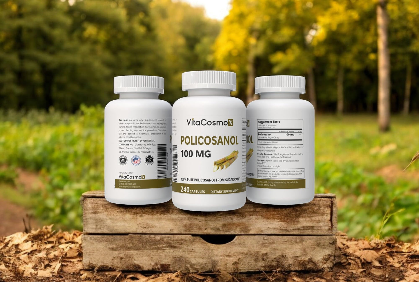 VitaCosmoX Policosanol Sugar Cane Extract Capsule, 240 Count