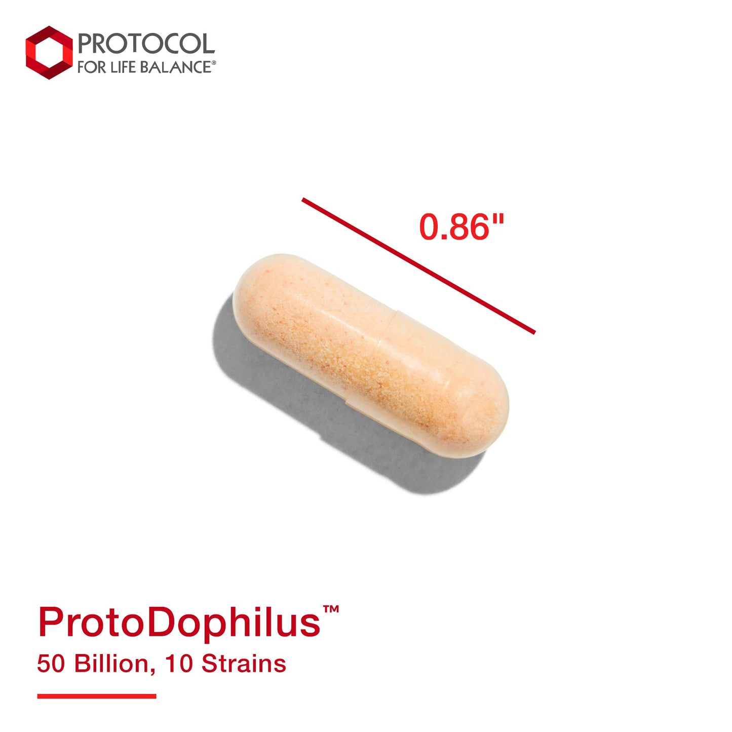 Protocol for Life Balance ProtoDophilus Capsules, 50 Count