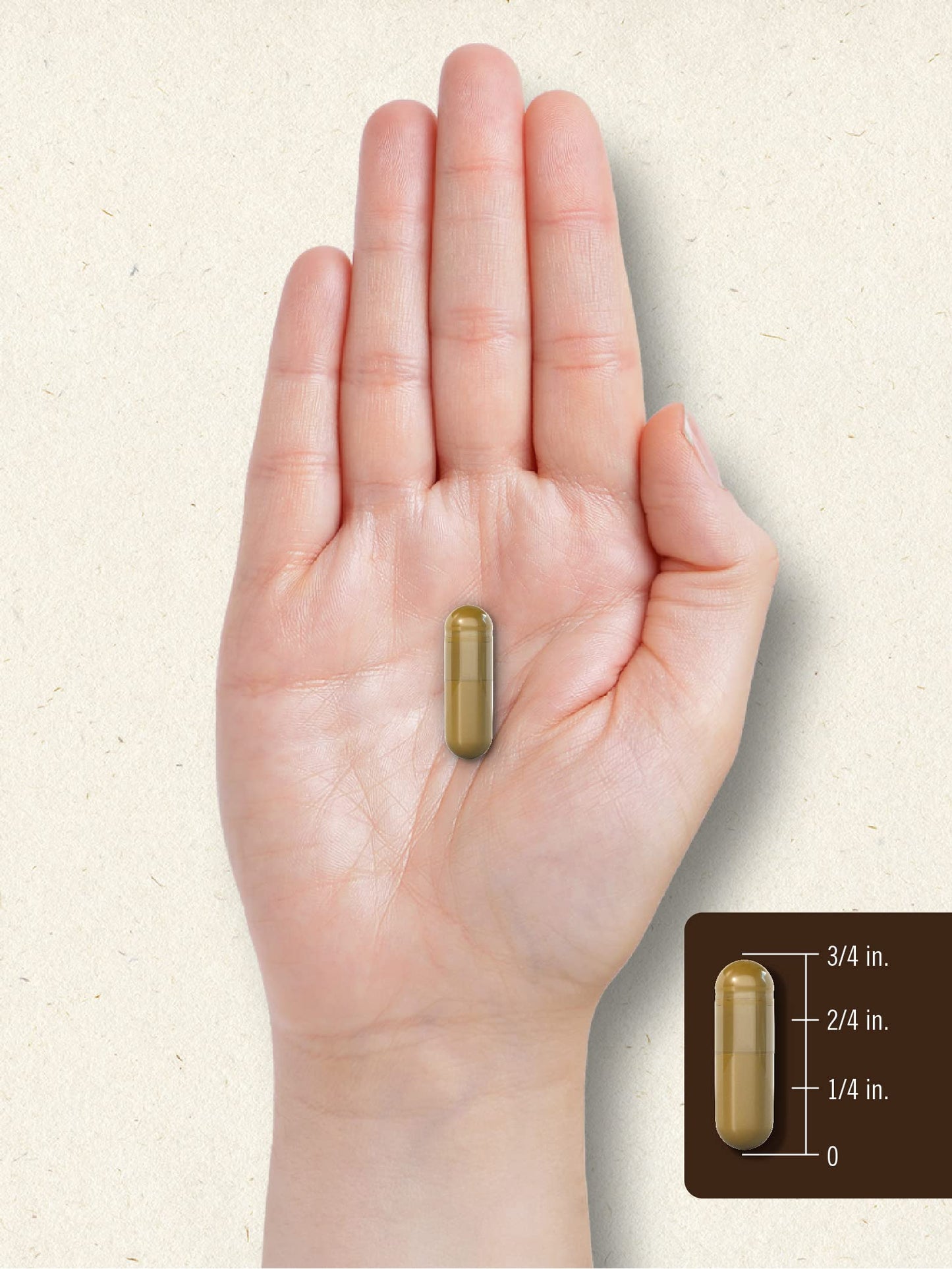 Carlyle Bee Propolis Capsules 150 Count