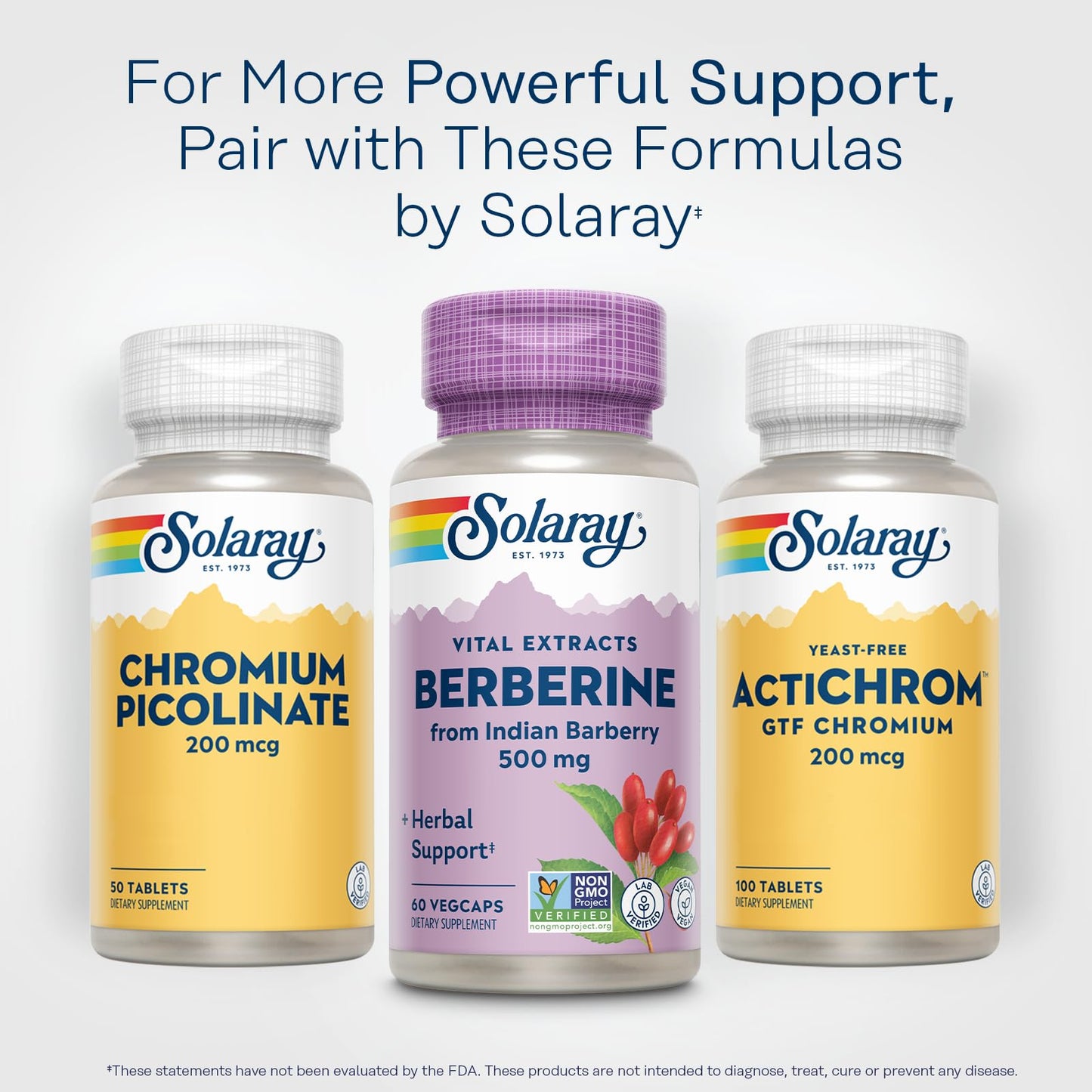 SOLARAY Berberine Extract 500 mg Capsule, 60 Count