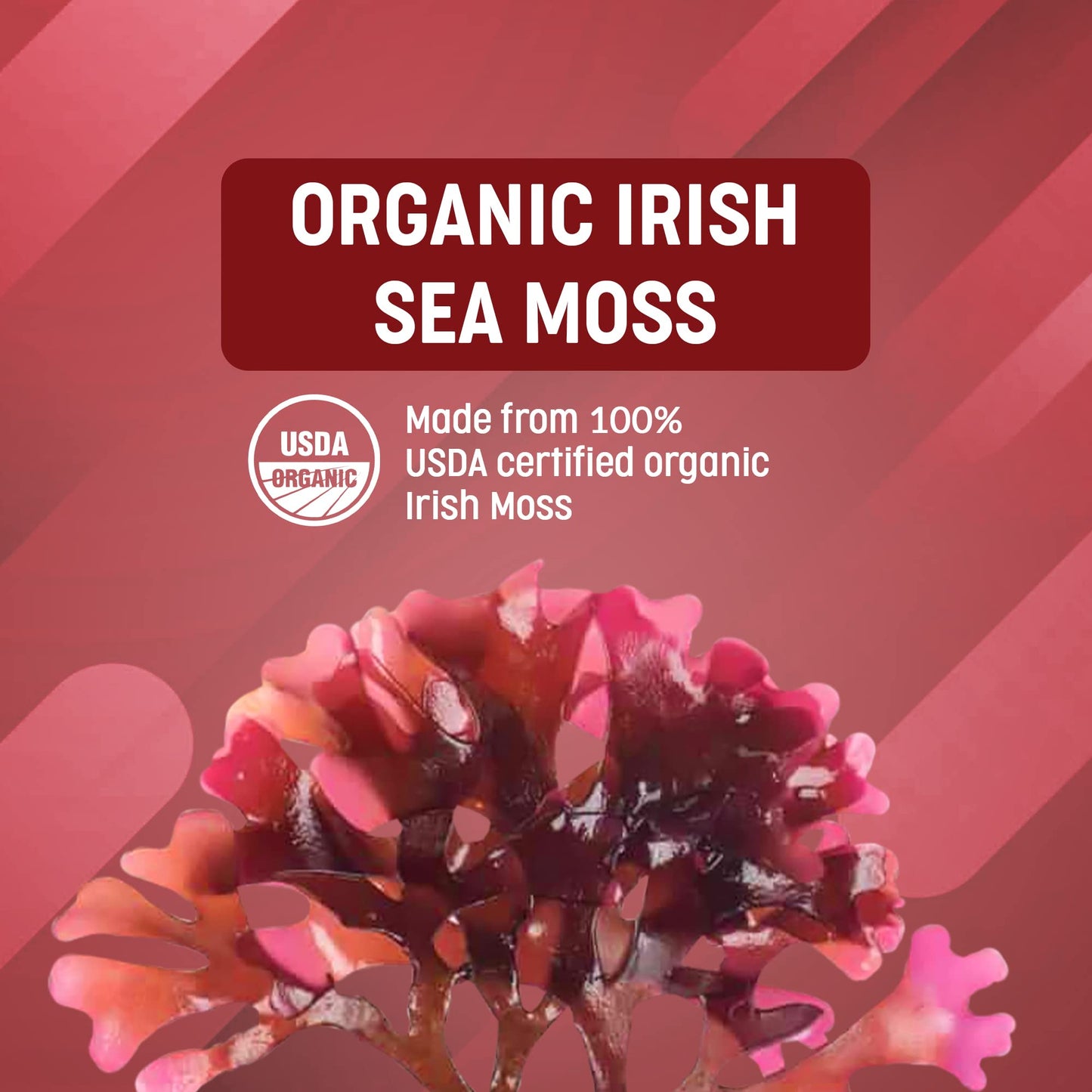 Superfood Science Ocean Optima Organic Sea Moss Capsules 90 Count