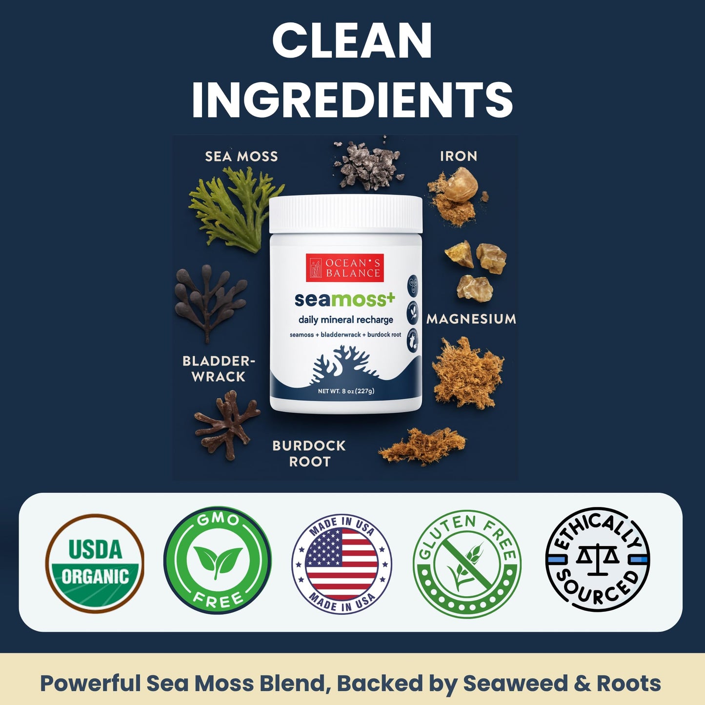 Ocean's Balance Clean Taste of Maine Seacleanse+ Daily Detox Cleanse Powder, 8 oz