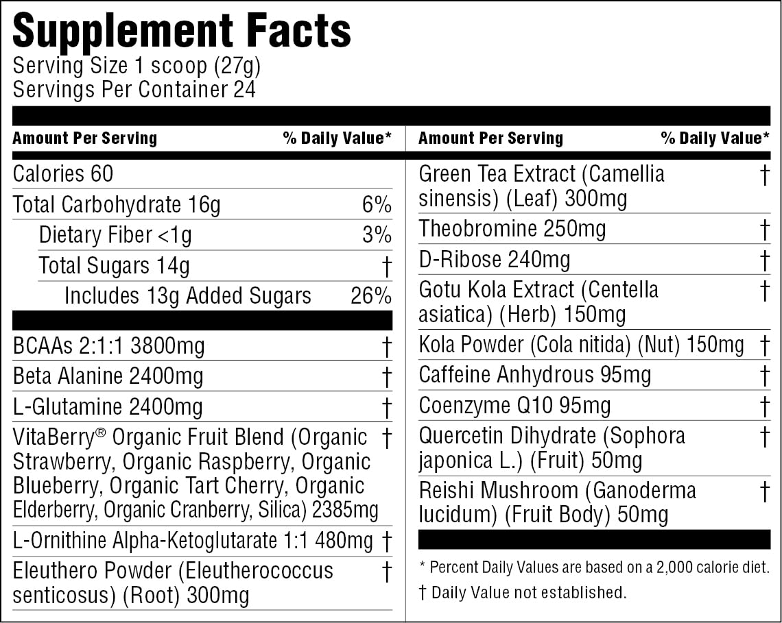 swiig PREcovery Pre Workout Powder 1.54 Pound Jar