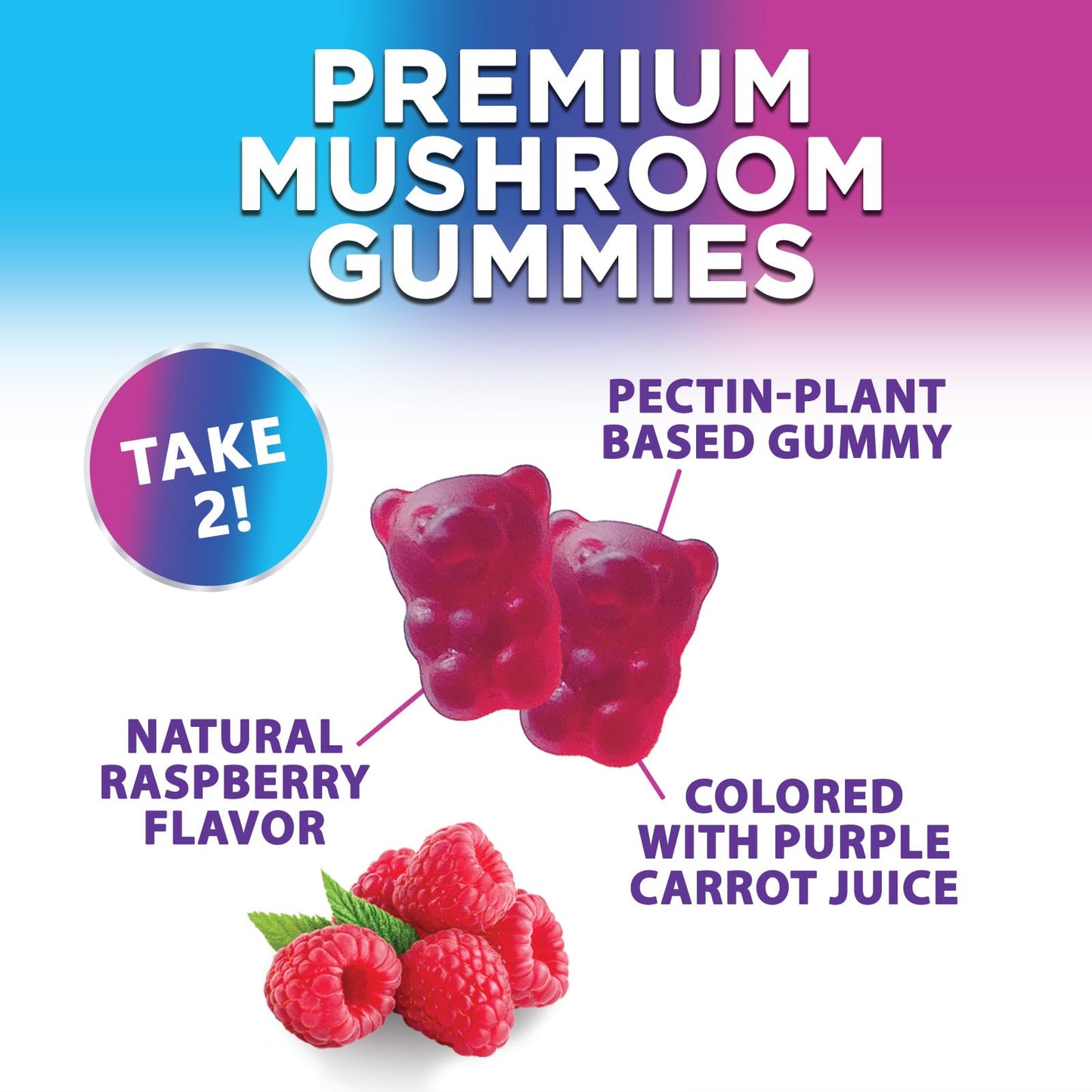 Nature's Nutrition Mushroom Gummies 12 in 1 Complex - Lions Mane, Reishi, Cordyceps & Chaga, Memory & Immune Support, Nootropic Brain Supplements, 60 Count