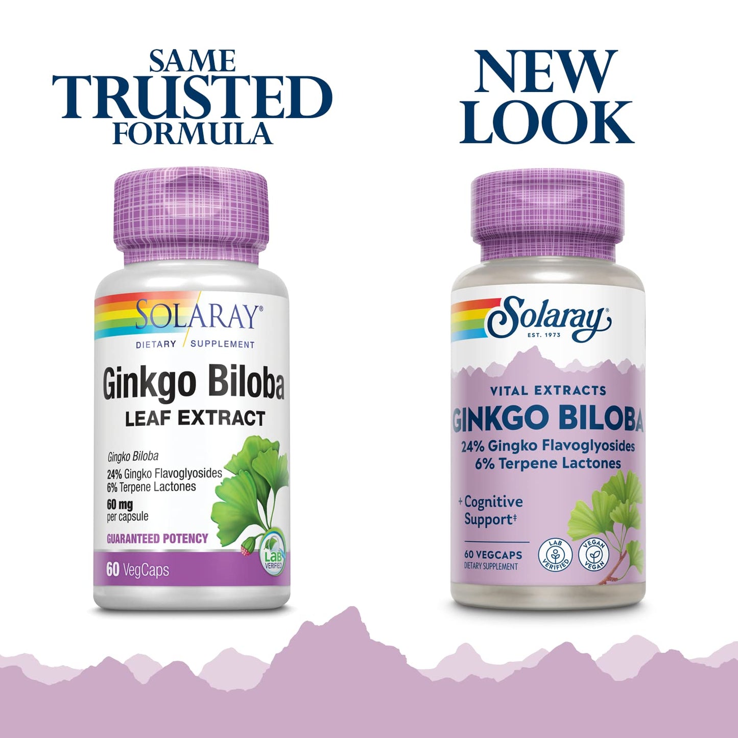 SOLARAY Ginkgo Biloba Extract 60mg Capsule, 120 Count