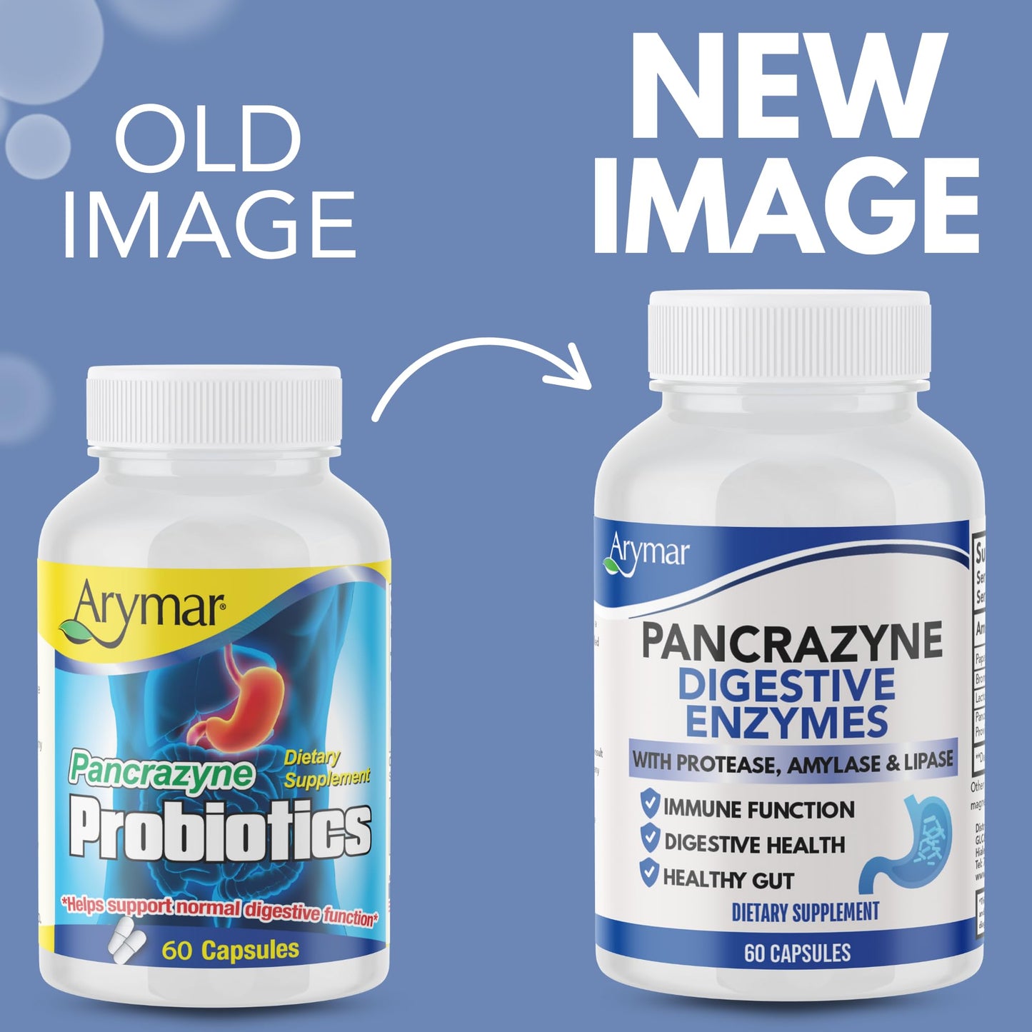 Arymar Pancrazyne Probiotics Digestive Enzymes with Amylase, Protease, Lipase & Lactobacillus, 60 Capsules