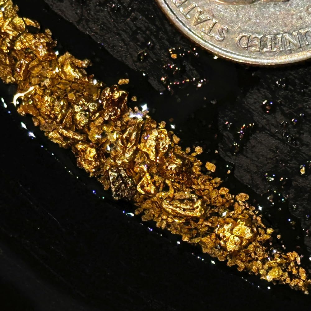Bobby Nugget Gold Paydirt Prospecting Bag Powder 1/4 Gram of Gold