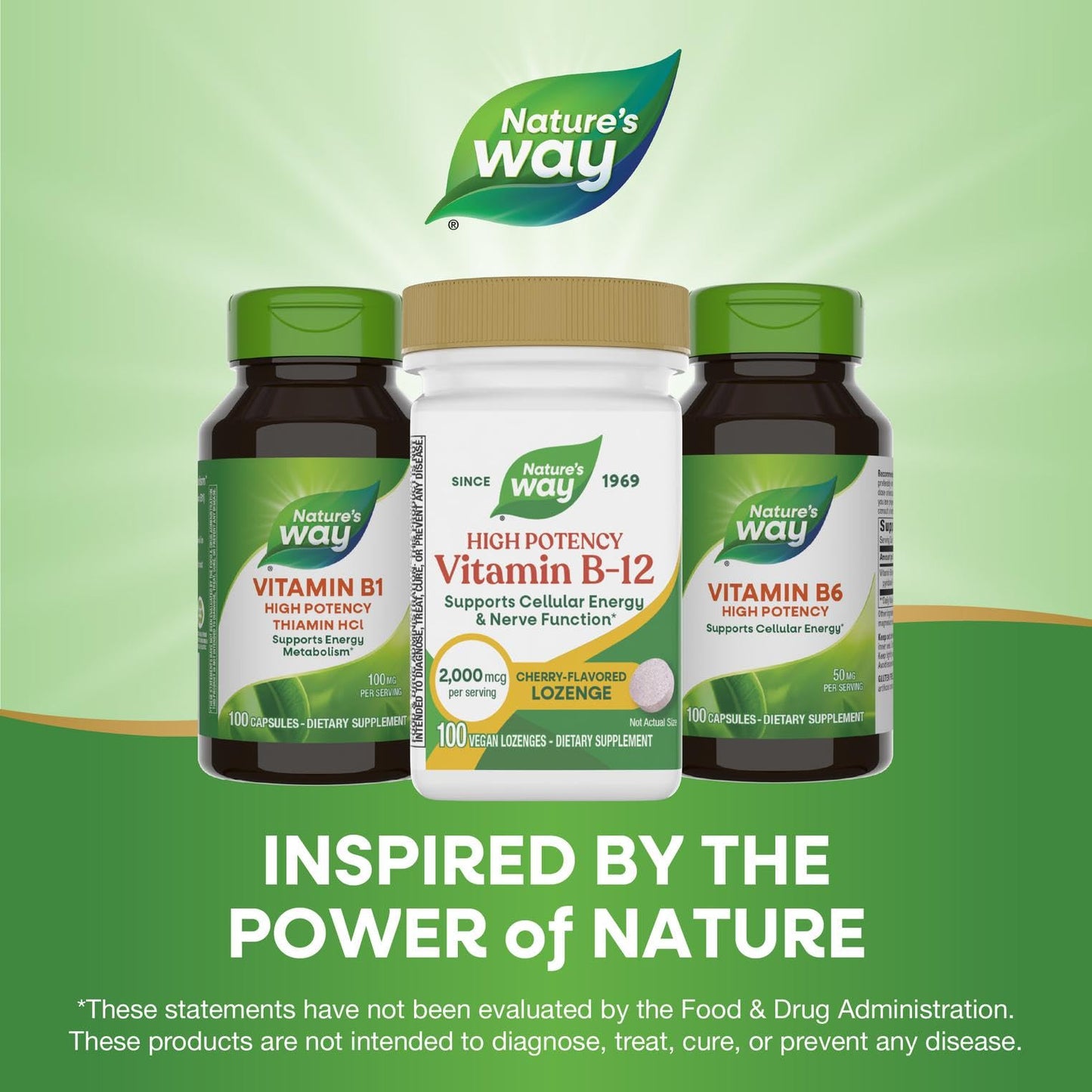 Nature's Way High Potency Vitamin B-12 Lozenges, 2,000 mcg per Lozenge, 100 Count