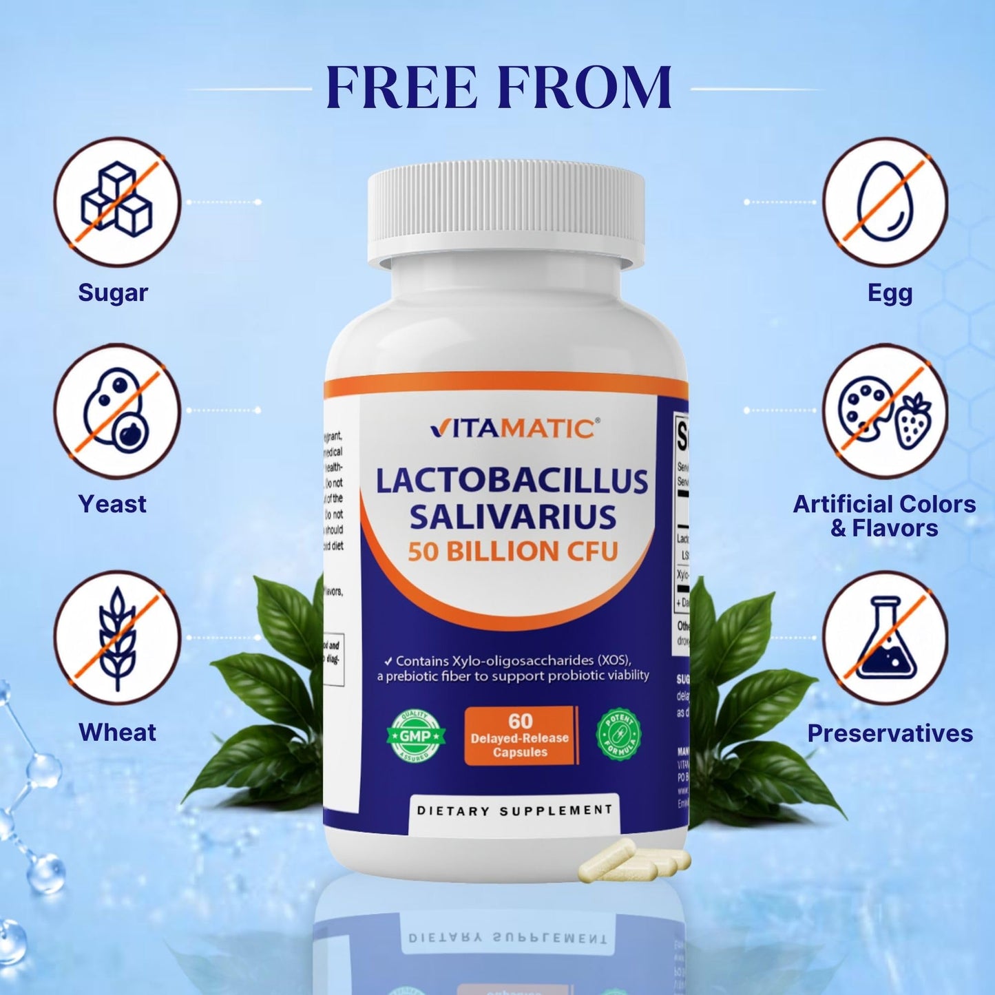 Vitamatic Lactobacillus Salivarius 50 Billion CFU with XOS Prebiotic, Delayed-Release Probiotic, Non-GMO, Gluten Free, 60 Capsules