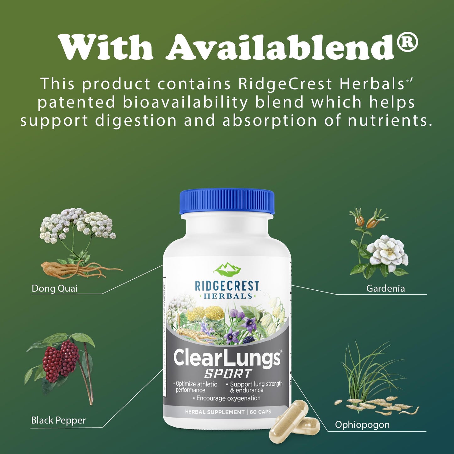 RidgeCrest Herbals ClearLungs Sport Oxygen Intake and Lung Support Formula with Cordyceps, Rhodiola, Eleuthero, 60 Capsules