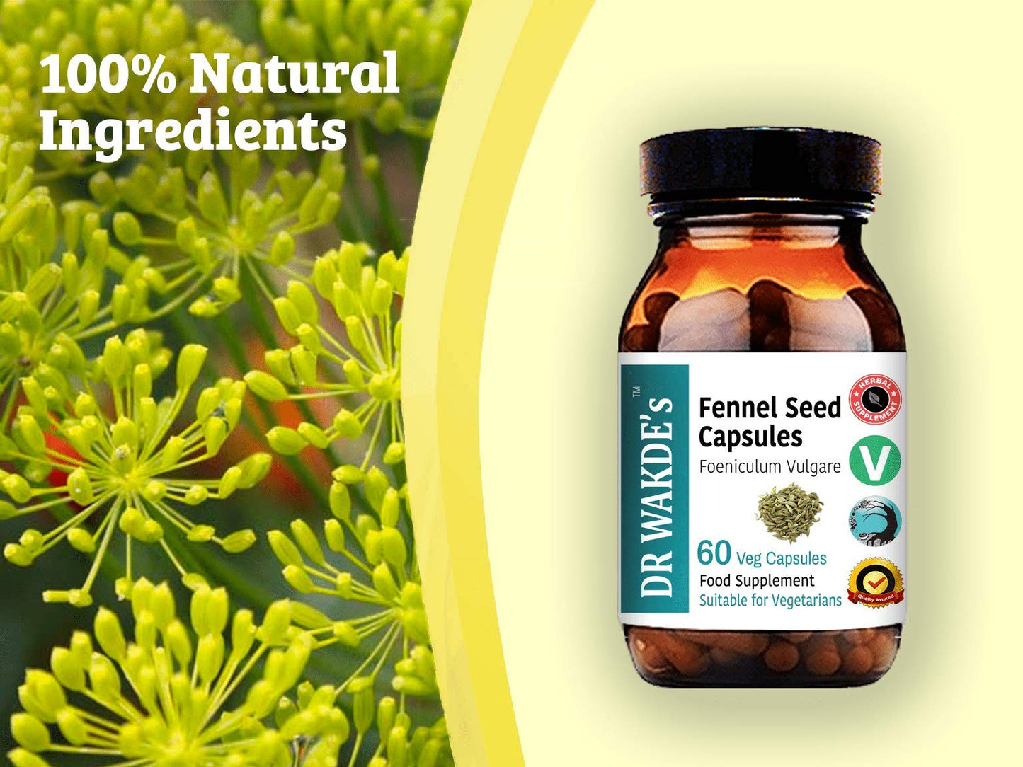 DR WAKDE's Fennel Seed Capsules 1 Count