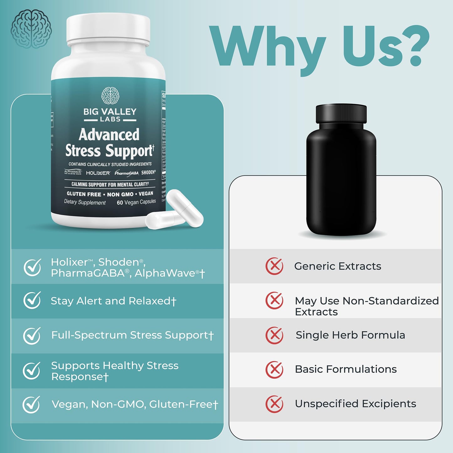 Big Valley Labs Advanced Stress Support Capsules, 60 Count