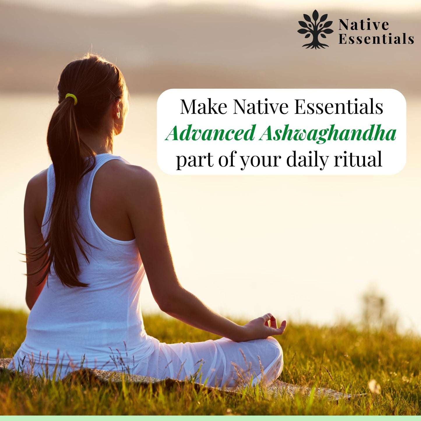 Native Essentials Ashwagandha 1000mg - Balance Energy Focus Support, 1 Capsule