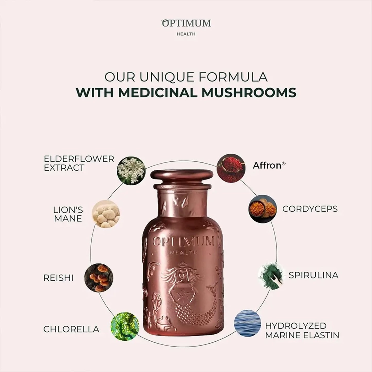 HIFAS DA TERRA Optimum Refill Pack for Women - Mushroom Supplement Complex with Cordyceps & Lions Mane, Adaptogenic Extract Powder Pills for Brain Health, Focus, Energy, & Skin Health, Capsule, 60.5 Capsules