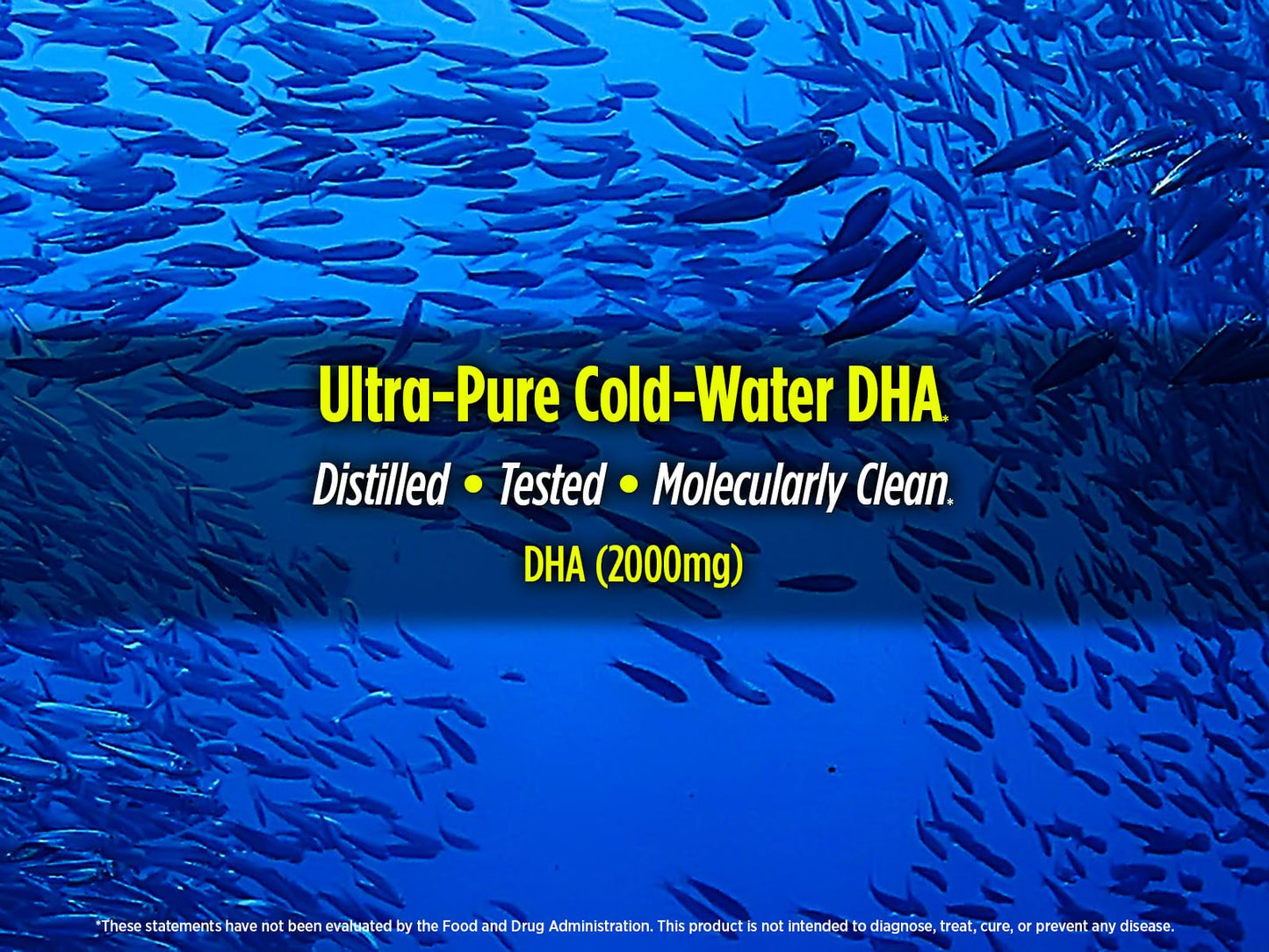 Biotest Flameout 5X DHA Fish Oil Softgel 180 Count
