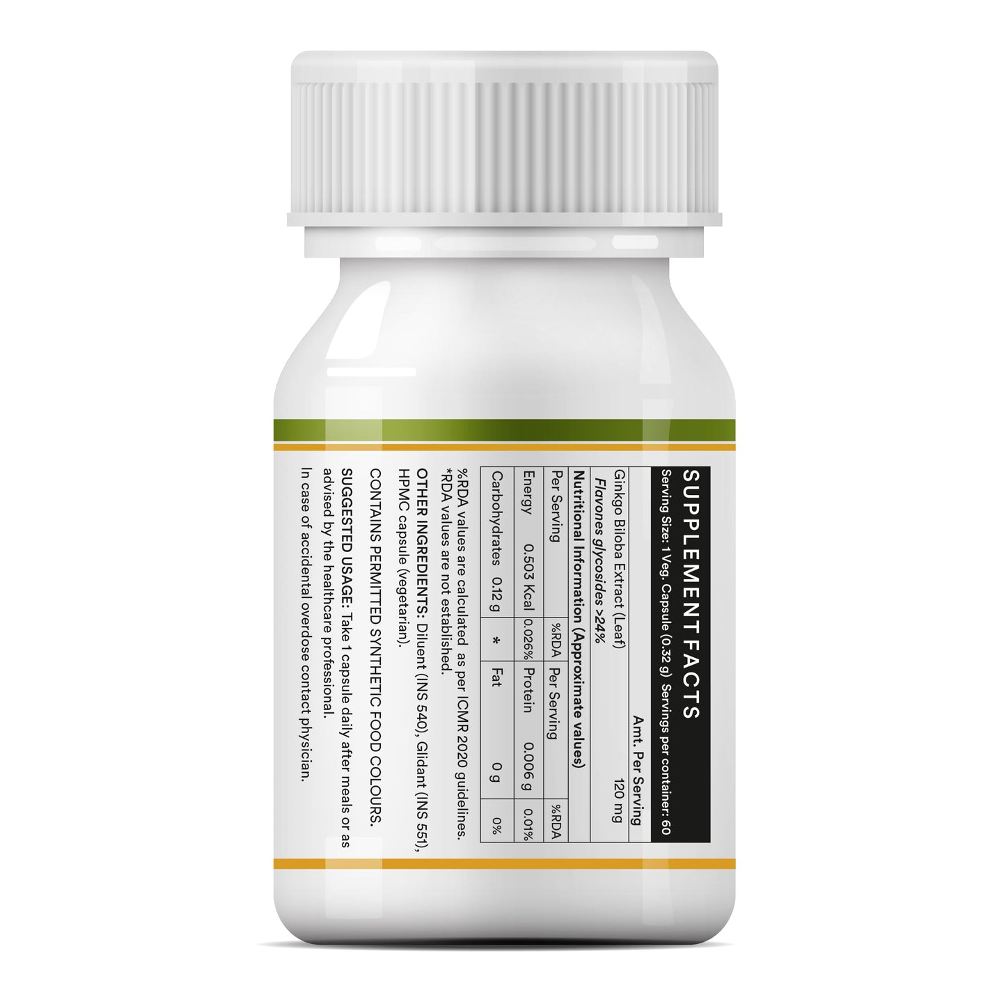 INLIFE Ginkgo Biloba Extract 120mg Capsules, 1 Count