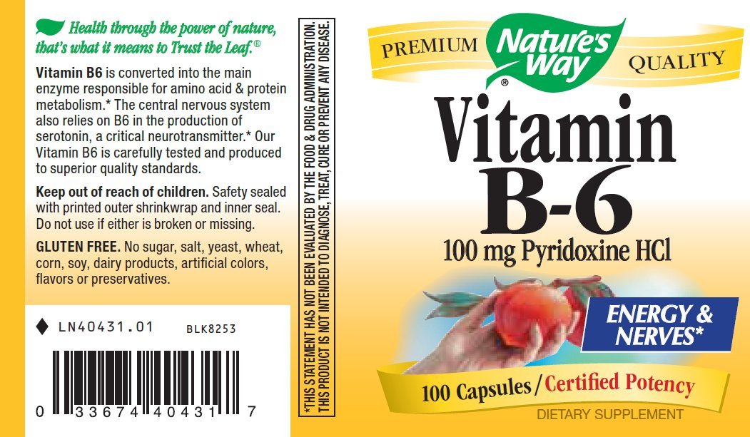 Nature's Way Vitamin B-6 100 mg Capsules, 200 Count