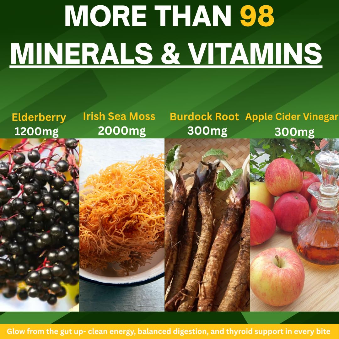 NUBIAN NUTRIFIED Sea Moss with Apple Cider Vinegar, Burdock Root & Bladderwrack Gummies 60 Count