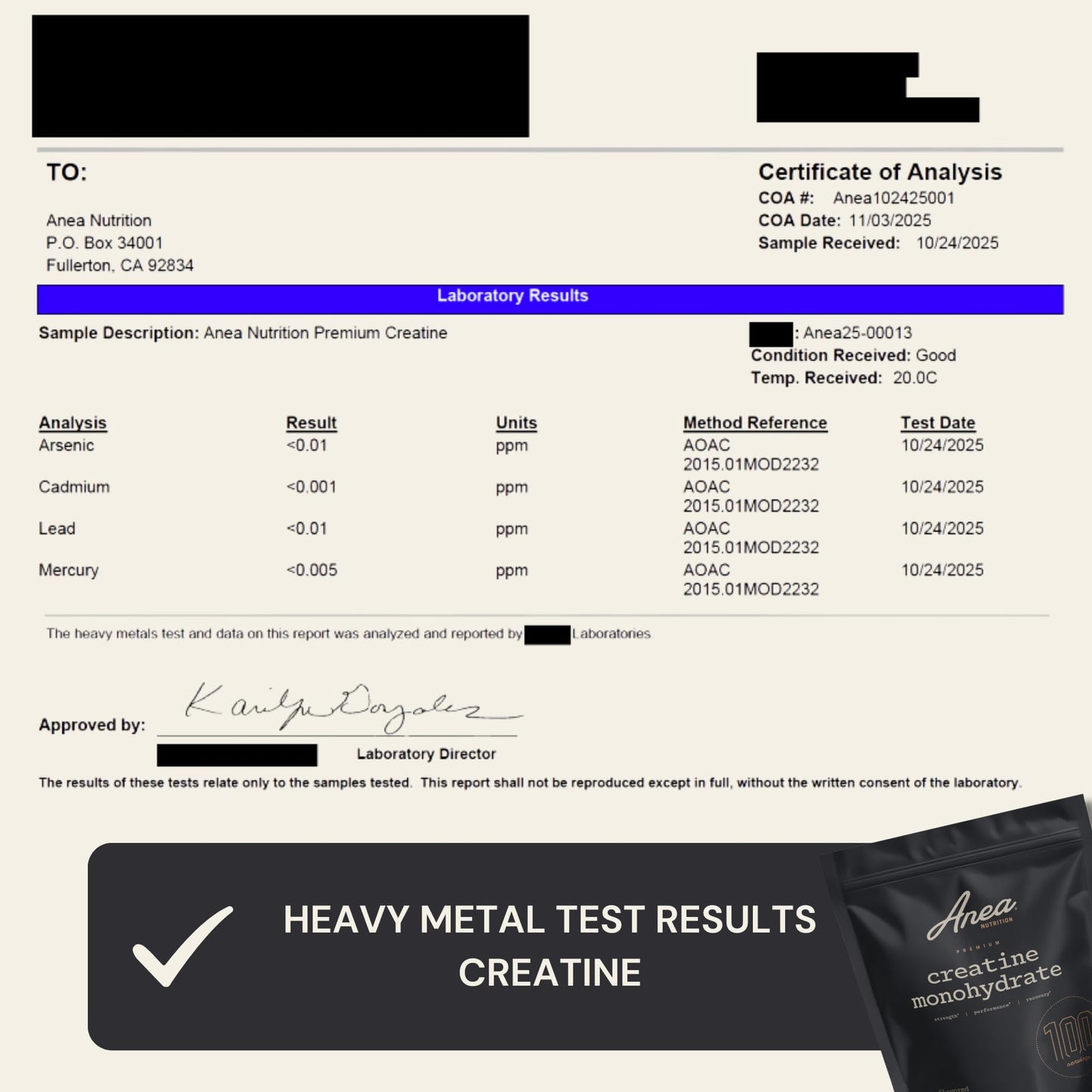 Anea Nutrition Creatine Monohydrate Micronized Powder 100 Servings