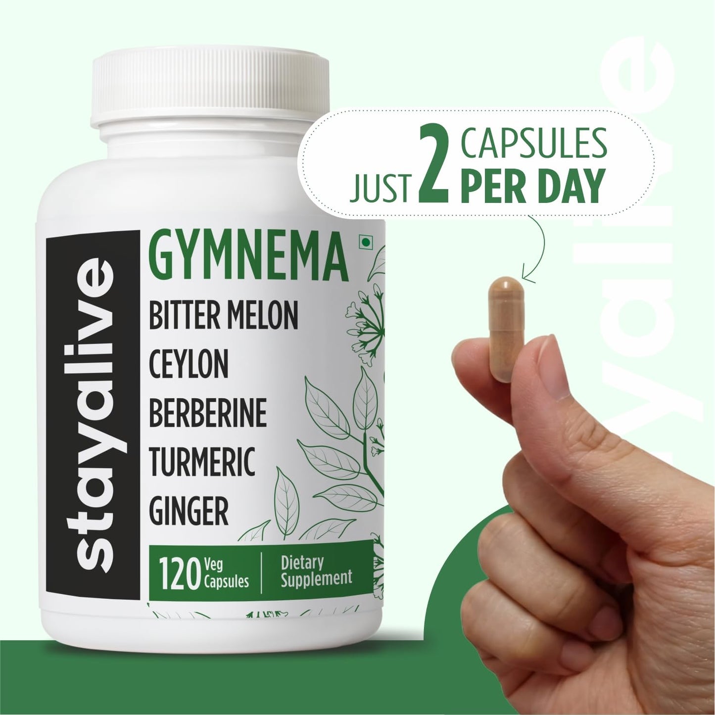 STAY ALIVE Gymnema Sylvestre 25:1 Extract, 120 Capsules