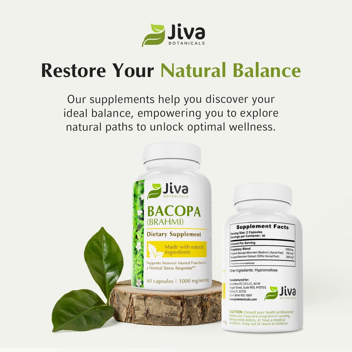 Jiva Botanicals Bacopa Monnieri Supplement Pure 1000mg per Serving Capsules, 60 Count