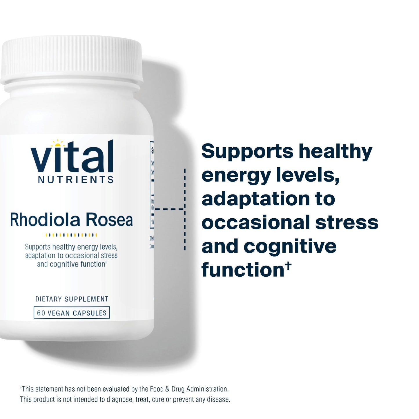 Vital Nutrients Rhodiola Rosea Capsule 60 Capsules