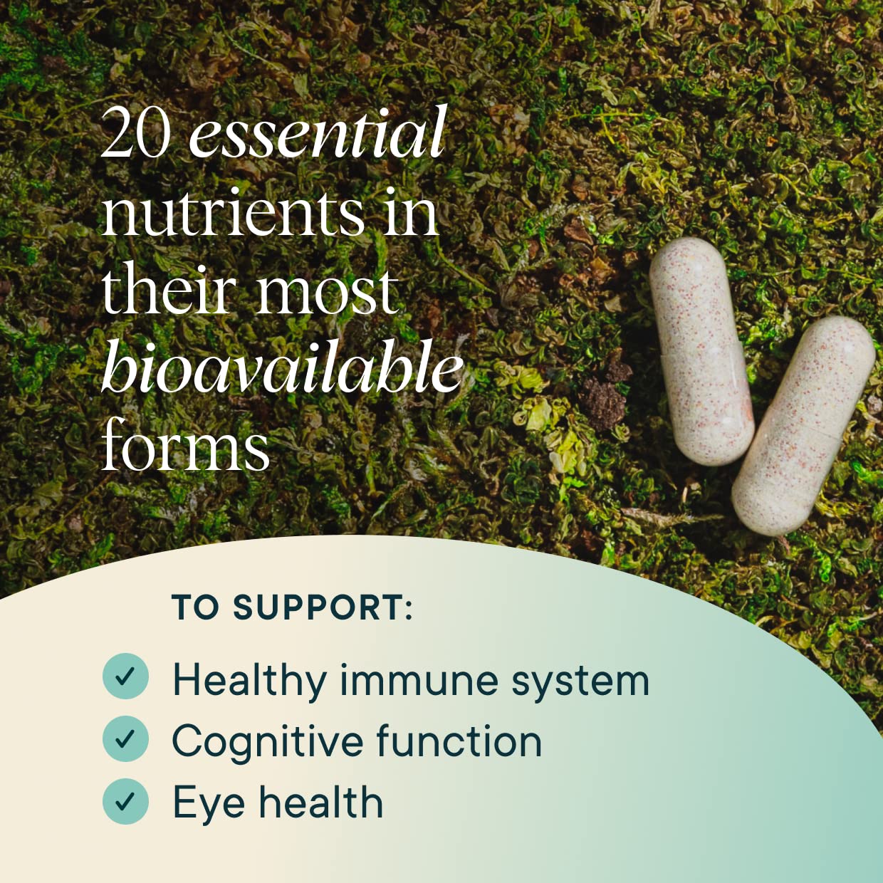 Ora Organic Plant Based Multivitamin for Women and Men, Bluelight Protection, Brain, Eye, Energy, Immune, Skin, Hair, Heart, and Bone Health Support, 60 Capsules