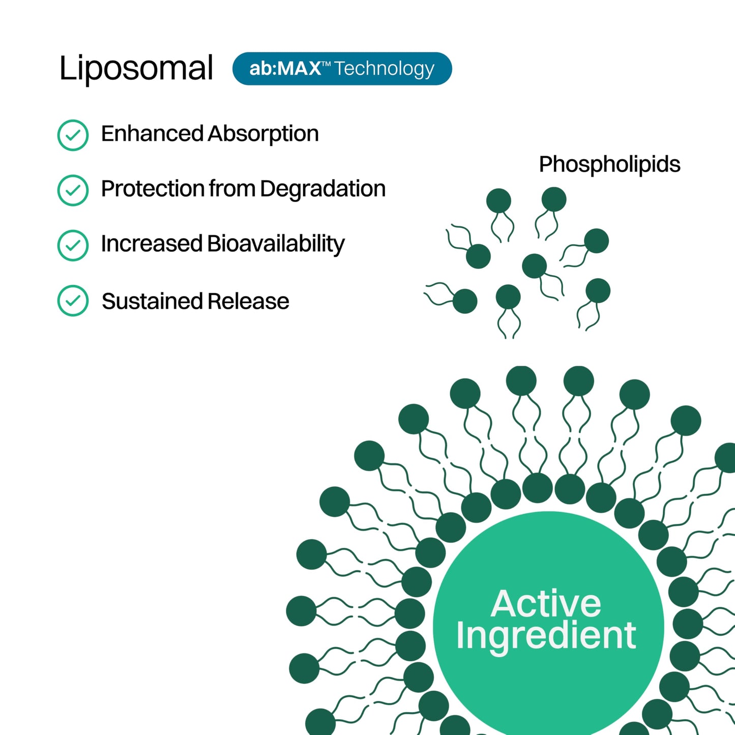 Haroutine Liposomal Vitamin D3 + K2 Gummies 30 Count