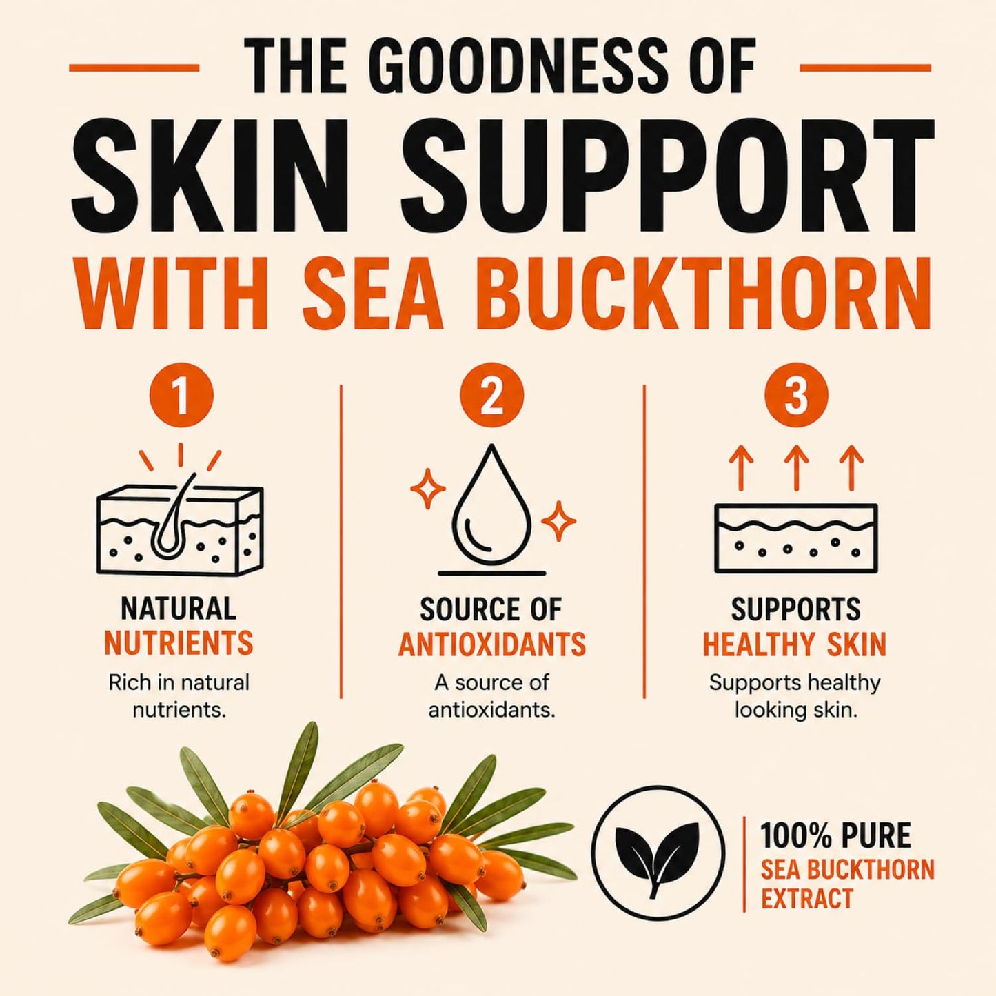 Daily All Day Sea Buckthorn Omega-7 1000mg Vegan Plant-Based Omega 3-6-7-9 & Antioxidants for Skin, Hair & Nails, Berry Extract Superfruit, Non-GMO, 60 Tablets