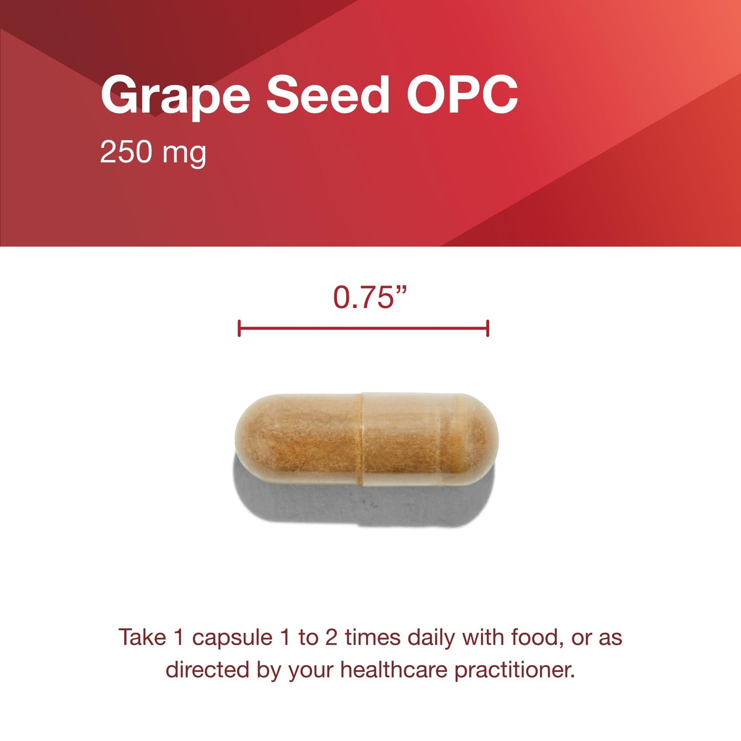 PROTOCOL FOR LIFE BALANCE Grape Seed OPC 250mg - 90% Polyphenols - with Rutin & Amla Fruit Extract Capsule, 90 Veg Caps