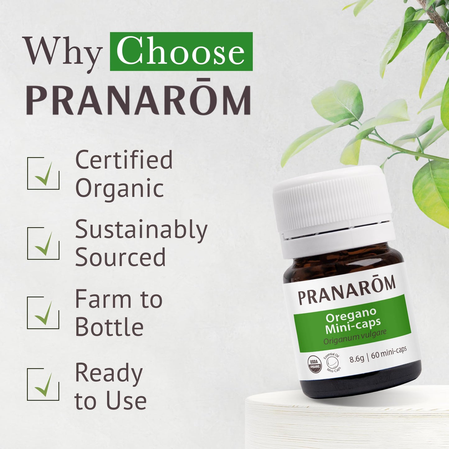 Pranarom Aromaforce Oregano Mini-Caps 1 Capsule