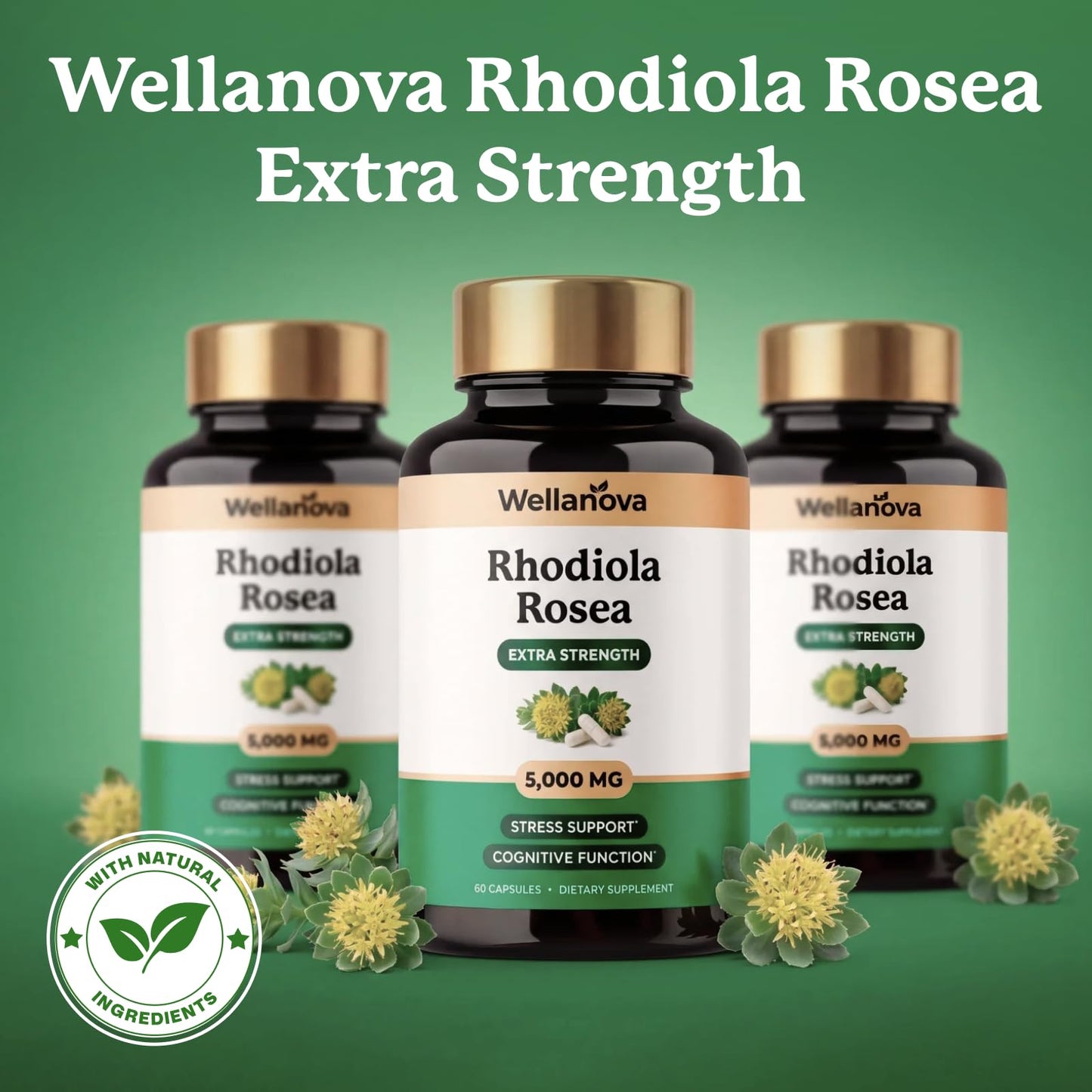 Wellanova Rhodiola Rosea Supplement Capsules 60 Capsules