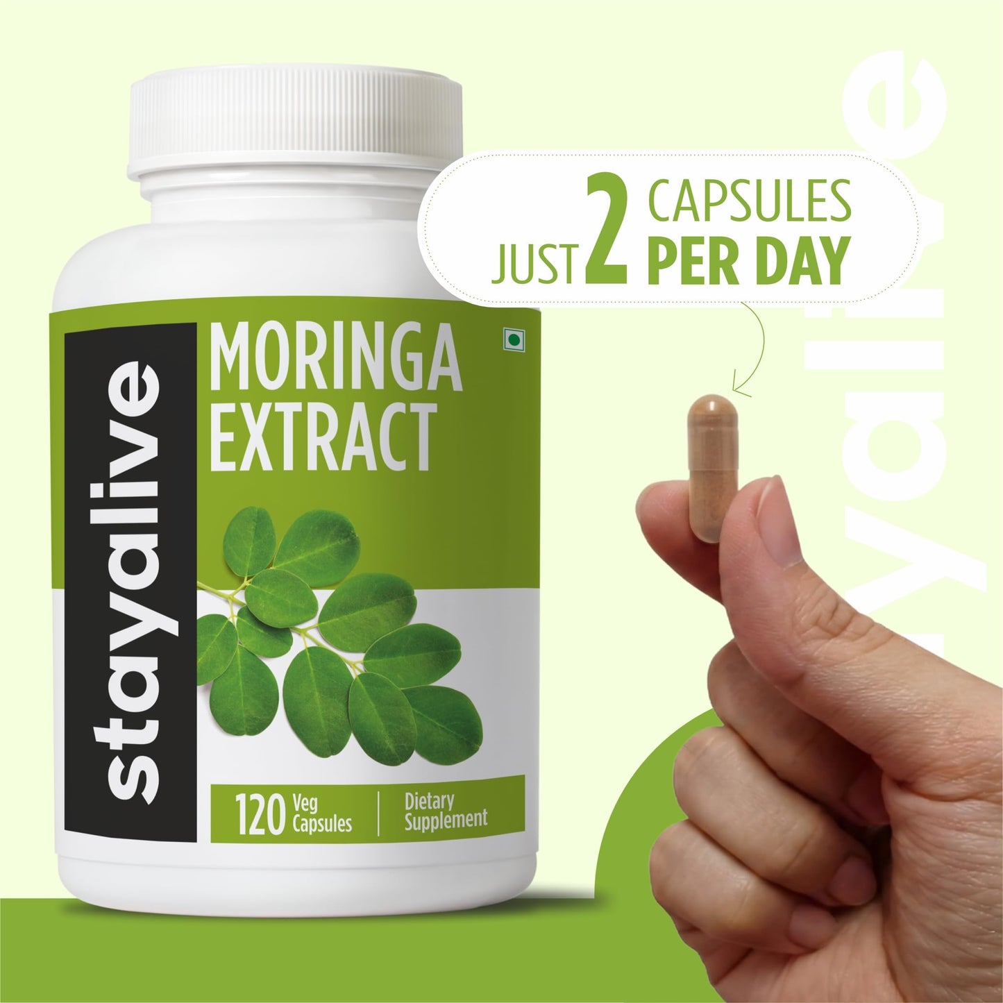 STAY ALIVE Moringa Capsules 1000mg 20:1 Extract, 120 Count