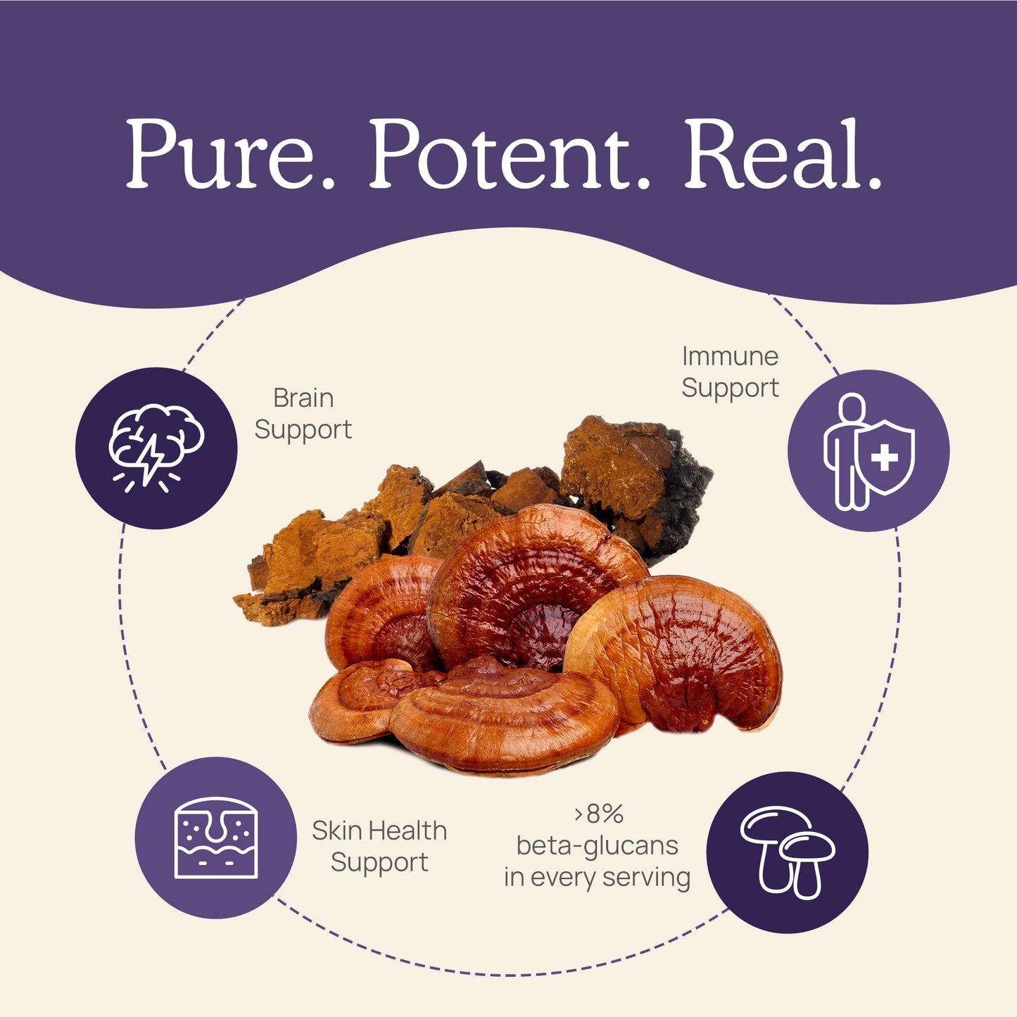 Real Mushrooms Vitamin D2, Zinc (120ct) and Reishi 415 (90ct) Bundle with Chaga Capsules, 2 Capsules