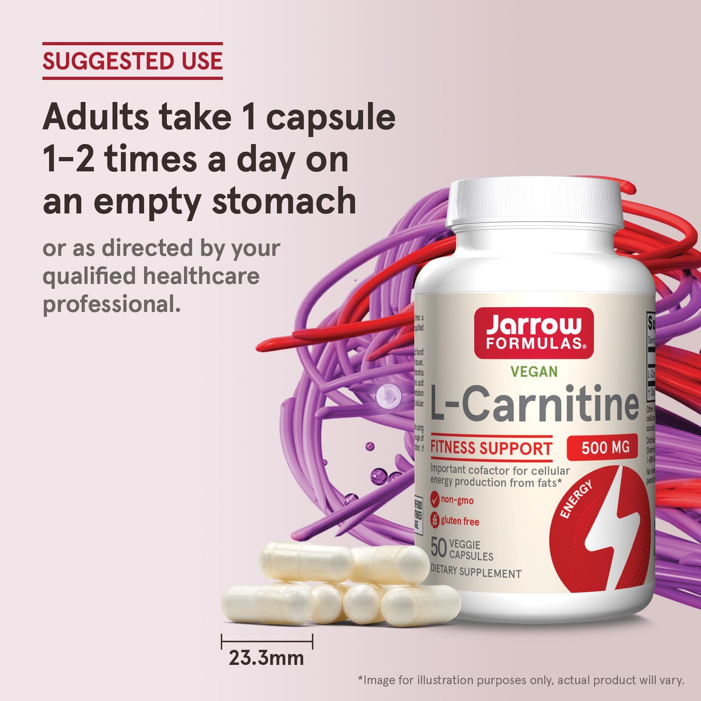 Jarrow Formulas L-Carnitine 500 mg Capsules 50 Count