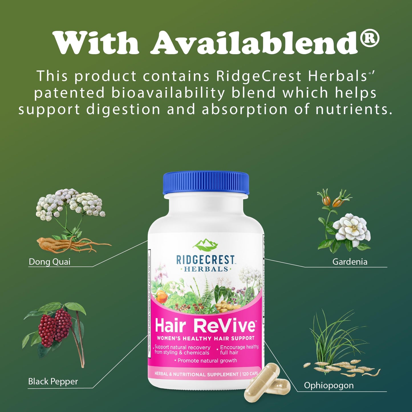 RidgeCrest Herbals Hair ReVive Capsules 120