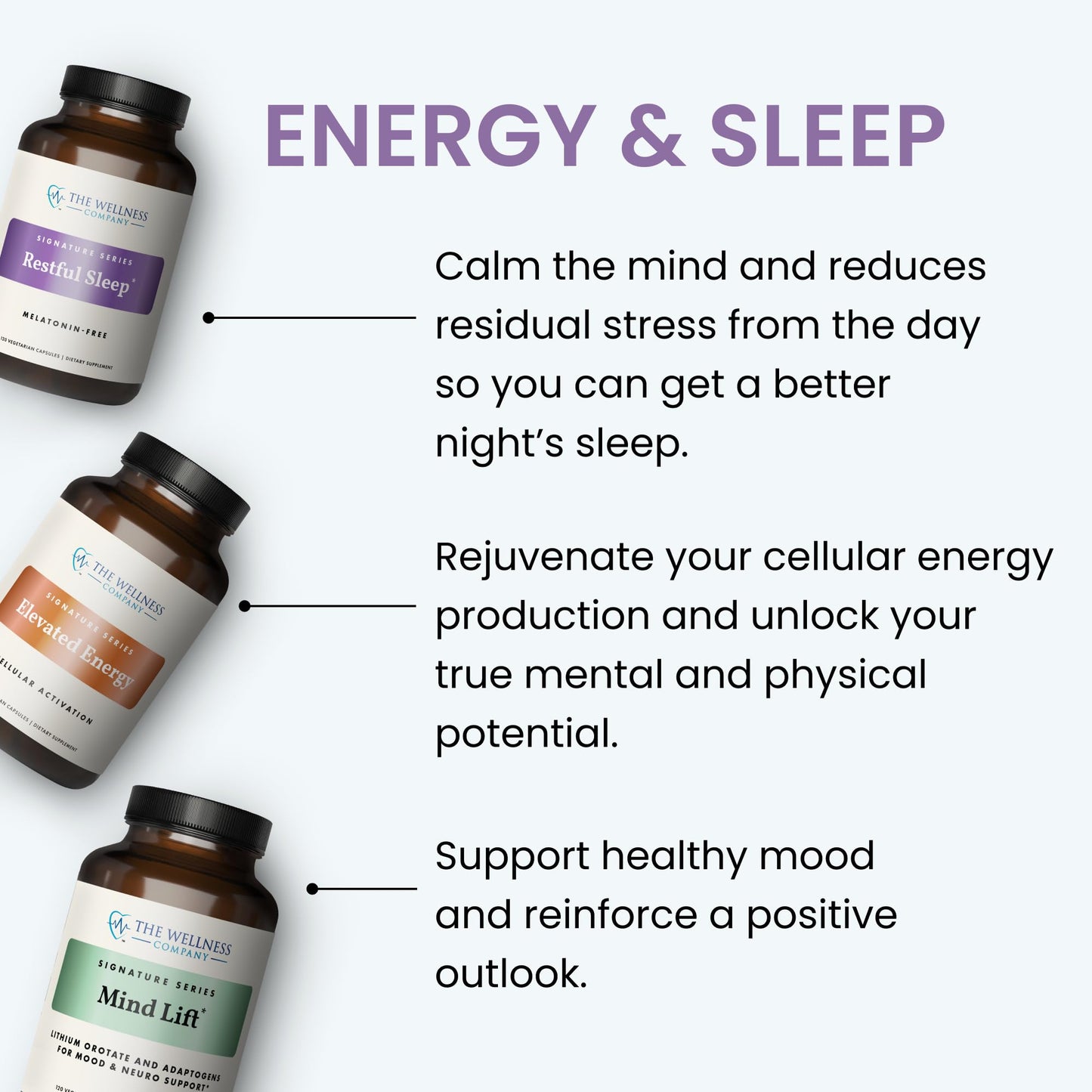 The Wellness Company Elevated Energy Capsule 60 Count