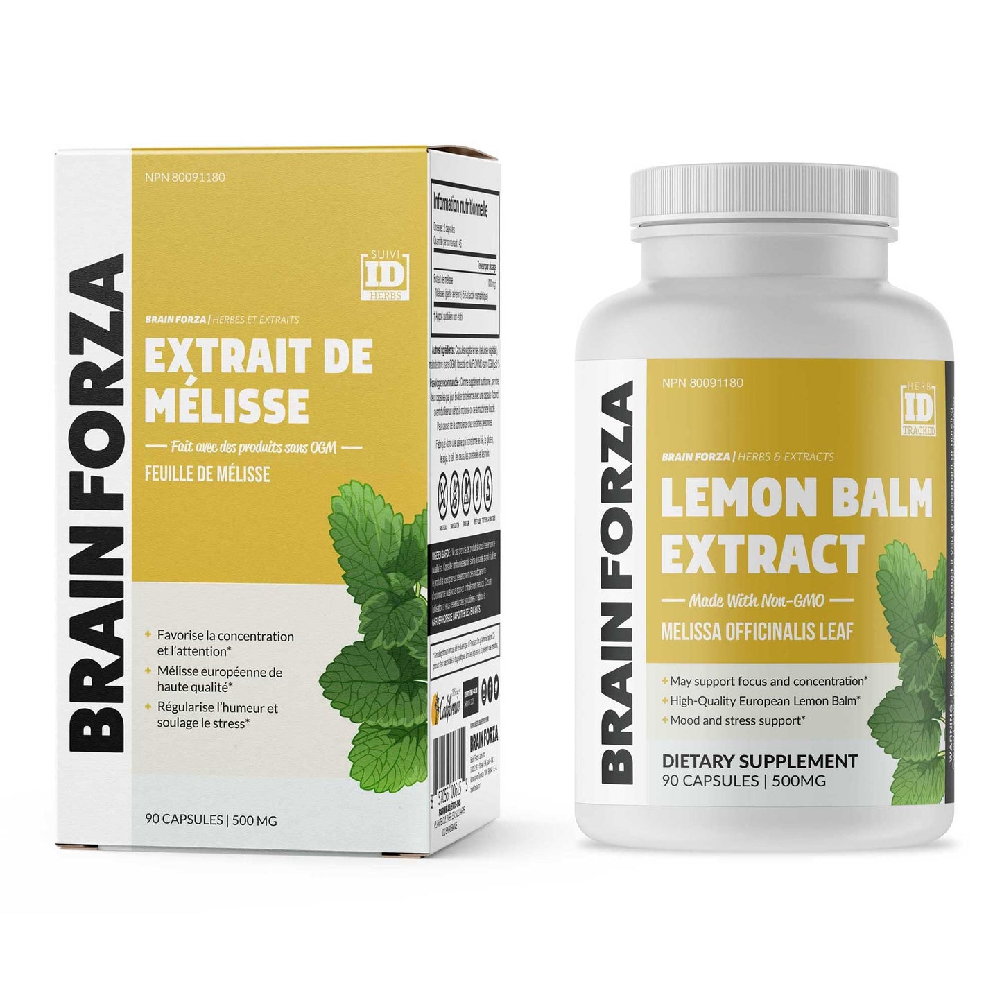 Brain Forza Lemon Balm R5 Extract Capsules - Standardized Extract 5% Rosmarinic Acid, 90 Capsules
