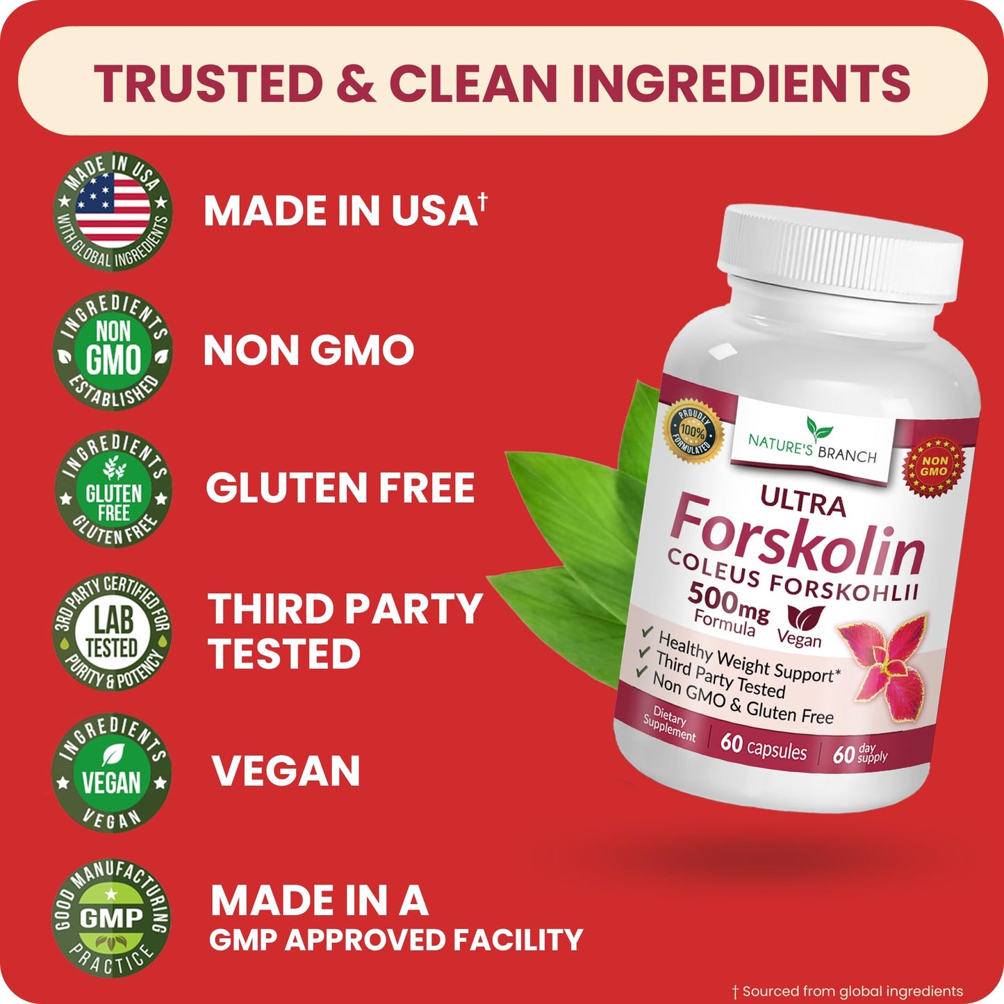 Nature's Branch Ultra Forskolin Supplement 500mg, Coleus Forskohlii for Weight Management Vegan Capsules 60 Count