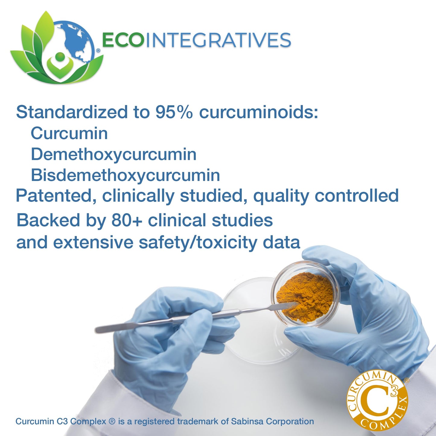 EcoIntegratives Turmeric Curcumin Curcuminoid Complex 450mg Capsule, 100 Vegetable Caps