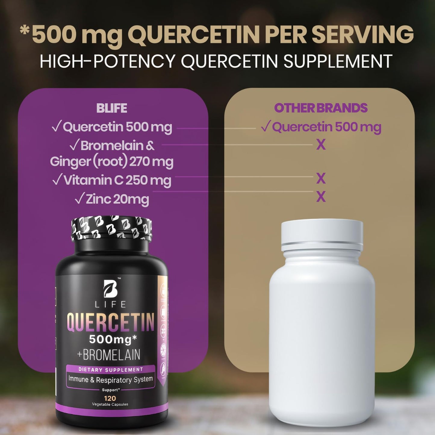 B Life Company BLife Quercetin 500mg Capsules with Vitamin C, Zinc & Ginger – Immune & Antioxidant Support – Quercetin with Bromelain – 120 Capsules