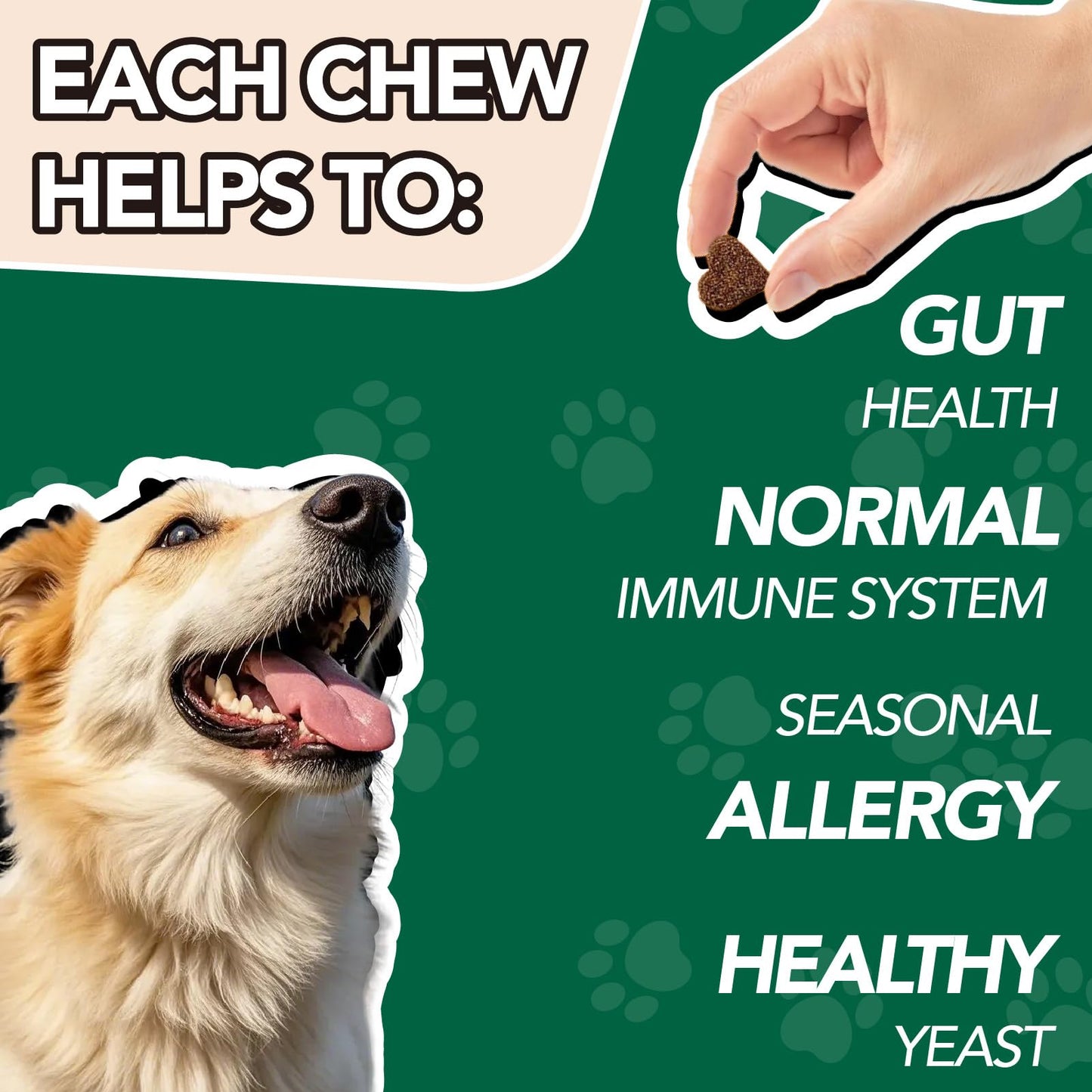 MEGNETA Probiotic Supplement for All Dogs, Digestive & Immune Health, Chews 180