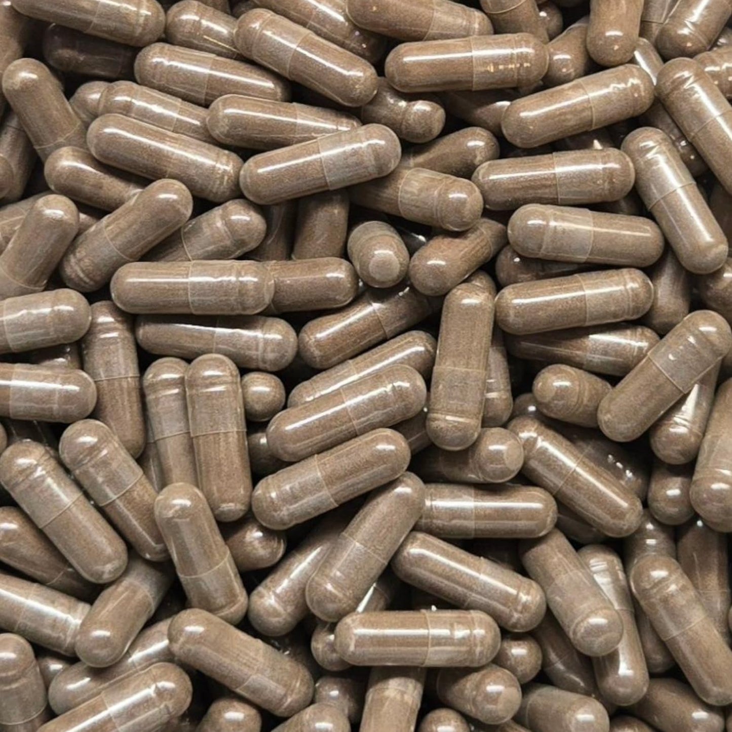 Generic Eucommia Leaf Powder Capsules 240 Capsules