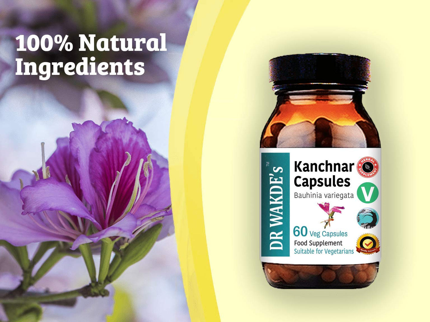 DR WAKDE'S Kanchnar Capsules, 60 Capsules