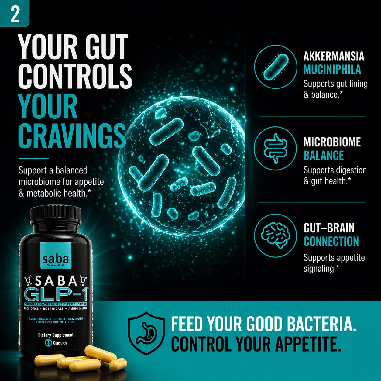 Saba GLP-1™ Support Supplement – Natural Appetite Control & Cravings Support with Akkermansia Probiotic + Berberine Synbiotic | Gut Health & Metabolism Support | Non-Stimulant Capsule 60 Count