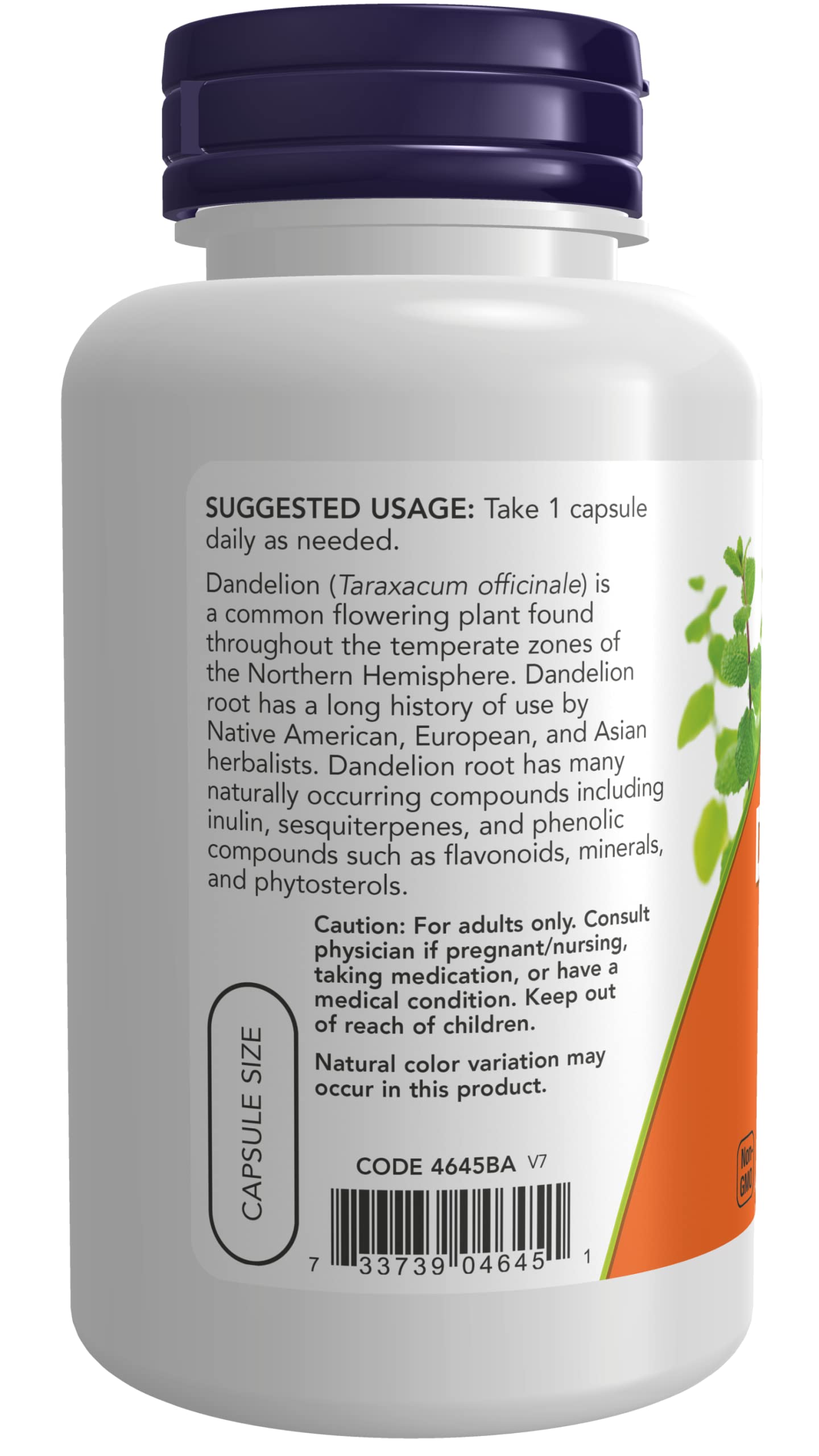 NOW Foods Dandelion Root 500 mg Capsule, 2 Count